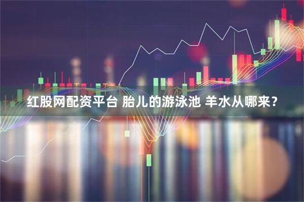 红股网配资平台 胎儿的游泳池 羊水从哪来？