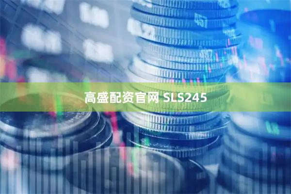高盛配资官网 SLS245